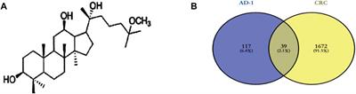 Integrating network pharmacology and experimental validation to explore the effect and mechanism of AD-1 in the treatment of colorectal cancer